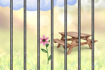 A small pink flower next to a picnic table. The view is through a prison fence next to some train tracks.
