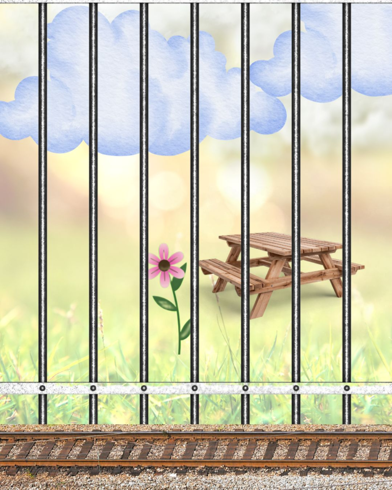 A small pink flower next to a picnic table. The view is through a prison fence next to some train tracks.